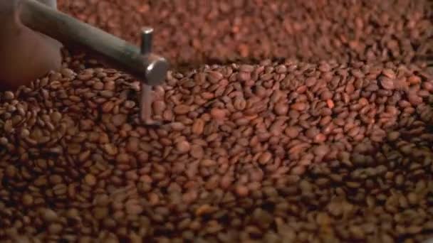 关闭视频冷却新鲜烘焙咖啡豆在烤箱 — 图库视频影像