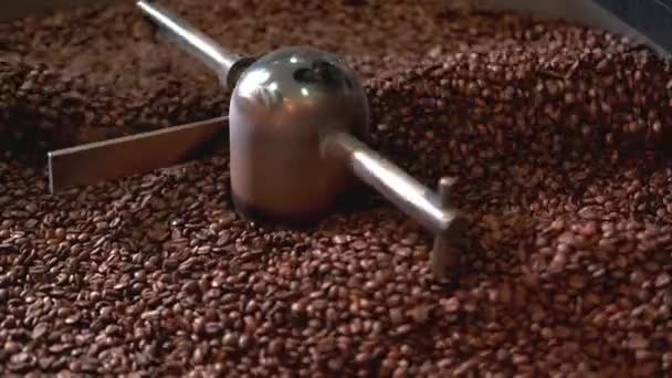 Zamknij Wideo Chłodzenia Świeżych Palonych Ziaren Kawy Pieczeni — Wideo stockowe
