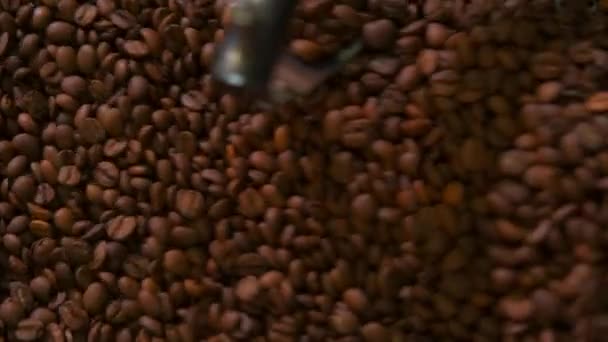Gros Plan Vidéo Refroidissement Des Grains Café Frais Torréfiés Dans — Video