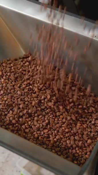 Dikey Video Işlemi Roasteride Kahve Çekirdeklerini Kavuruyor — Stok video