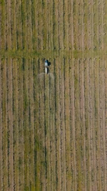 Vertikální Letecké Záběry Traktoru Rozprašujícího Pesticid Vinici Během Jara — Stock video
