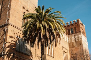 Parlak güneş ışığında tarihi taş yapılar ve palmiye ağaçları Avrupa mimarisi ve açık gökyüzünü gözler önüne seriyor..