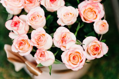 Yüksek çözünürlüklü pembe ve beyaz gül buketi romantik durumlar için mükemmel..