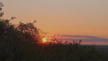 Nefes kesici bir gün batımı ufuk boyunca canlı renklerini yavaşça yayar, doğanın gerçek güzelliğini gösterir.
