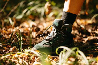 Yakından çekilmiş bir görüntü, sonbahar yapraklarıyla süslenmiş bir orman zemininde gezinen bir botu yakalıyor.