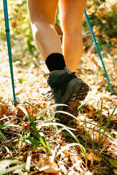 A closeup view of legs trekking through a vibrant and lush forest path, equipped with various hiking gear