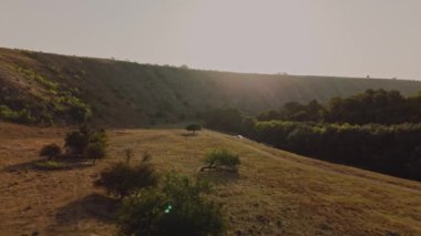 Huzurlu ve sakin bir manzara canlı bir şekilde yuvarlanan tepeler ve yumuşak güneş ışığıyla yıkanmış yemyeşil bir yer.