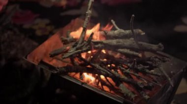 Ilık ve davetkar bir kamp ateşi sahnesi. Parlayan, dans eden alevler ve etraftaki ince dallarla dolu.