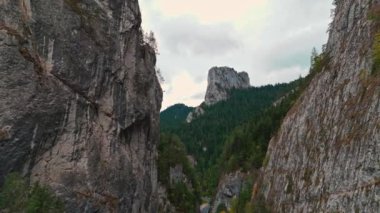Heybetli bir dağ vadisinin çarpıcı manzarası güzel çerçevelenmiş kayalık uçurumlar ve yemyeşil yeşillikler