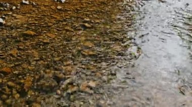 Huzurlu bir akarsu, pürüzsüz bir çakıl taşlı nehir yatağının üzerinde zarif bir şekilde akıyor. Güzelce sergilenen doğal, dingin bir güzellik.