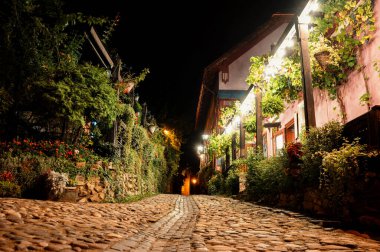 Parke taşlı bir caddenin büyüleyici ve pitoresk bir gece manzarası. Parlak bitkiler ve çiçeklerle süslenmiş.