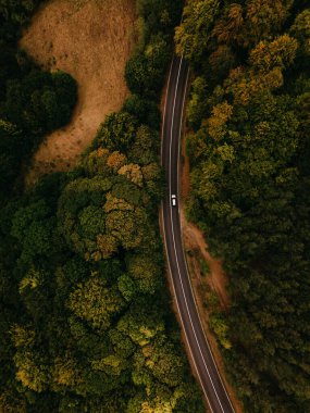 Dönek bir yol zarif bir şekilde canlı ve yemyeşil bir ormanın içinden geçiyor, yukarıdan inanılmaz güzellikler sergiliyor.