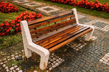 Güzel, rahat, ahşap bir bank güzel bir çiçek parkında oturuyor. Rahatlamak ve güzelliğin tadını çıkarmak için mükemmel.