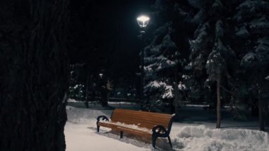 Huzurlu ve sakin bir kış parkı sahnesi, karla kaplı bir bankın gece lambasıyla aydınlatıldığını gösteriyor.