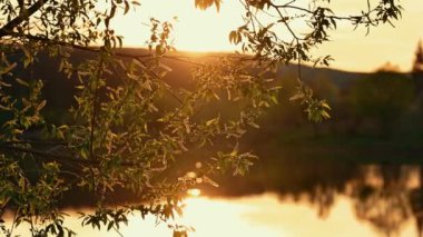 Şaşılacak kadar güzel bir gün batımı dingin suları aydınlatıyor, narin yeşil yapraklarla sanatsal çerçevelenmiş.