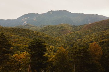 Nefes kesici güzellikte bir manzara yükselen dağlar, canlı bir orman ve muhteşem bir gökyüzü.