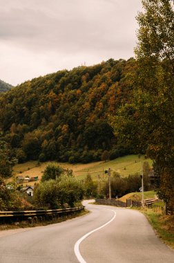 Nefes kesen resimli, dolambaçlı bir yol canlı bir sonbahar yeşilliği ve huzurlu, huzurlu bir manzarayla kaplıdır.