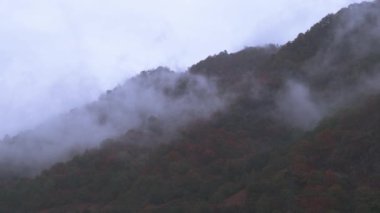Büyüleyici ve dingin bir dağ manzarası sisle ve dönen bulutlarla kaplı, gerçekten büyüleyici bir atmosfer yaratıyor.