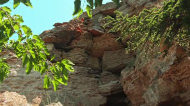 Engebeli dağların nefes kesici ve çarpıcı manzarası berrak mavi gökyüzünün altında canlı yeşil yapraklarla güzel çerçevelenmiş.