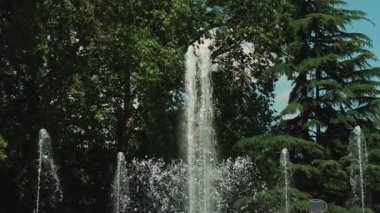 Serin ve canlı yeşilliklerle çevrili çarpıcı ve güzel bir çeşme hem doğa hem de eğlence temaları için idealdir.