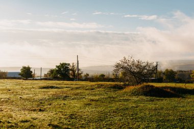 Huzurlu ve sakin bir sabah sahnesi berrak mavi gökyüzünün altında canlı, yemyeşil ve yumuşak bir sis sergiliyor.