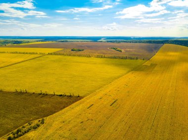 Hava manzarası, güzel bir gökyüzüne karşı yemyeşil benekli geniş bir altın tarla manzarası sergiliyor.