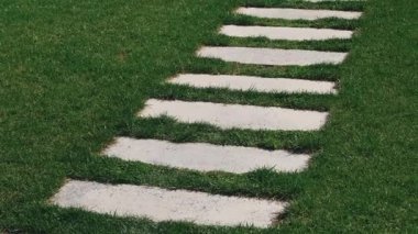 Algılardan zevk alan yemyeşil çimlerle çevrili büyüleyici beton bir yol keşfedin.