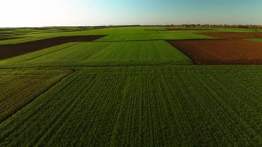 Havadan bakıldığında yeşil ve kahverengi tarlaları olan canlı tarım arazileri mükemmel bir hizada, kırsal güzelliği vurguluyor.