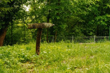 Eski ve paslı bir ok işareti, bereketli ve canlı yeşilliklerin arasında gururla durur, sakin bir doğa sahnesini tasvir eder.