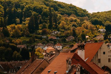 Bulutlu bir gökyüzünün altındaki yemyeşil tepelere karşı kurulmuş resimli, küçük bir köy.