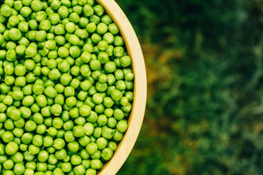 Taze bezelyelerle doldurulmuş canlı ve renkli bir kase. Sağlıklı yemek pişirmek ya da garnitür yapmak için ideal.