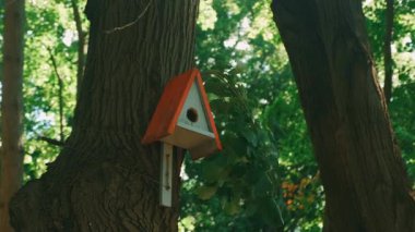 El yapımı bir kuş evi huzurlu bir orman sahnesini güzelleştirir. Herkesin eğlenebilmesi için doğanın güzelliğini ortaya çıkarır.