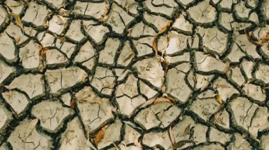 Çatlak, kuru toprak desenleri, doğadaki uzun süren kuraklık koşullarının endişe verici etkilerini vurguluyor.