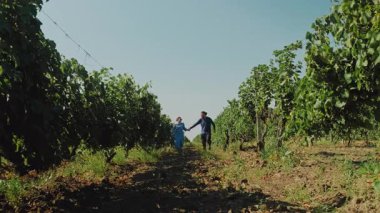 Neşeli bir çift, güneşli bir günün tadını çıkarır. Resimli bir üzüm bağında, etraflarındaki güzellikleri ve sevgiyi yakalar.