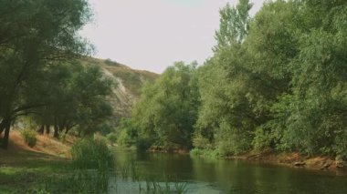 Huzurlu bir nehir, dingin ağaçlardan ve yumuşak tepelerden oluşan huzurlu bir arazide akıyor.