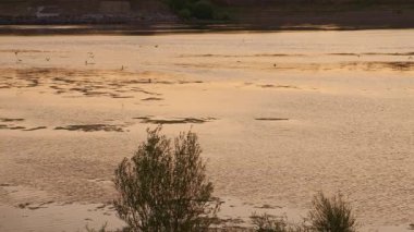 Güneş batarken, sakin bir ekran, yemyeşil suları çevreleyen sakin suları yansıtır.