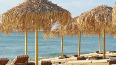 Saman şemsiyeleri ve titreyen suyun hemen yanına kurulmuş rahat şezlongların yer aldığı sakin bir sahil sahnesi.