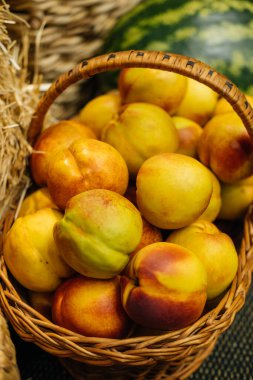 Canlı bir şeftali gösterisi. Doğal güzelliklerinin yanı sıra nefis tatlılıklarını da gösteriyorlar.