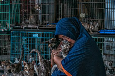 Dita Agusta ve kedileri 23 Mayıs 2023 'te Bogor, Batı Java, Endonezya' da hasta ve yaralı kediler için bir barınak olan Rumah Kucing Parung 'da