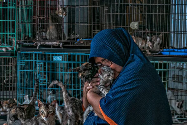 Dita Agusta ve kedileri 23 Mayıs 2023 'te Bogor, Batı Java, Endonezya' da hasta ve yaralı kediler için bir barınak olan Rumah Kucing Parung 'da