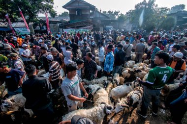 Koyun 22 Haziran 2023 'te Bogor Regency' deki Jonggol Hayvan Pazarı 'nda satılıyor. Kurban edilen hayvan satışlarında, Kurban Bayramı 1444 H yaklaştıkça talep arttı.