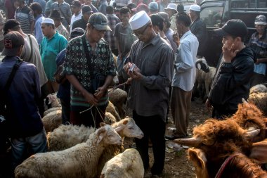 22 Haziran 2023 'te Jonggol Hayvan Pazarı, Bogor Regency, Endonezya' da koyun satışı ve alımı. Kurban edilen hayvan satışlarında, Kurban Bayramı 1444 H yaklaştıkça talep arttı.