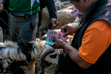 22 Haziran 2023 'te Jonggol Hayvan Pazarı, Bogor Regency, Endonezya' da koyun satışı ve alımı. Kurban edilen hayvan satışlarında, Kurban Bayramı 1444 H yaklaştıkça talep arttı.