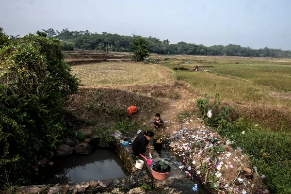 Bogor, Endonezya - 12 Ağustos 2023: Bogor, Batı Java sakinleri, kuraklığın neden olduğu temiz su sıkıntısı nedeniyle çeltik tarlasına sızma suyu kullanmak zorunda kaldı. 