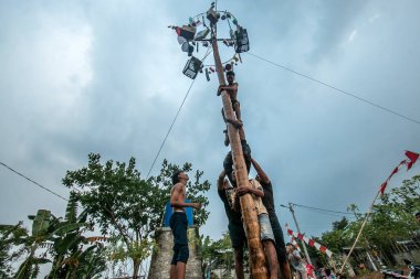 Bogor, Endonezya - 20 Ağustos 2023: Indonezya 'nın 78. Bağımsızlık Günü' nde Bogor, Batı Java 'da asılı kalan ürünler için bagajı yağlayıcı sıvıyla kaplanmış bir betel fıstığına tırmanmak için yarışan vatandaşlar