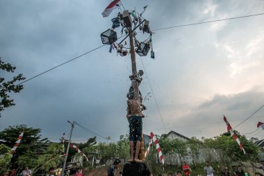 Bogor, Endonezya - 20 Ağustos 2023: Indonezya 'nın 78. Bağımsızlık Günü' nde Bogor, Batı Java 'da asılı kalan ürünler için bagajı yağlayıcı sıvıyla kaplanmış bir betel fıstığına tırmanmak için yarışan vatandaşlar