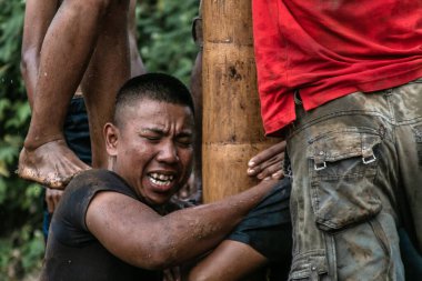 Bogor, Endonezya - 20 Ağustos 2023: Indonezya 'nın 78. Bağımsızlık Günü' nde Bogor, Batı Java 'da asılı kalan ürünler için bagajı yağlayıcı sıvıyla kaplanmış bir betel fıstığına tırmanmak için yarışan vatandaşlar