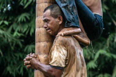 Bogor, Endonezya - 20 Ağustos 2023: Indonezya 'nın 78. Bağımsızlık Günü' nde Bogor, Batı Java 'da asılı kalan ürünler için bagajı yağlayıcı sıvıyla kaplanmış bir betel fıstığına tırmanmak için yarışan vatandaşlar