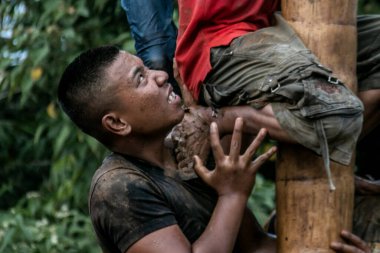 Bogor, Endonezya - 20 Ağustos 2023: Indonezya 'nın 78. Bağımsızlık Günü' nde Bogor, Batı Java 'da asılı kalan ürünler için bagajı yağlayıcı sıvıyla kaplanmış bir betel fıstığına tırmanmak için yarışan vatandaşlar
