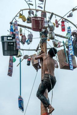 Bogor, Endonezya - 20 Ağustos 2023: Bir vatandaş, Endonezya 'nın 78. Bağımsızlık Günü' nü kutlamak için Bogor, Batı Java 'da düzenlenen bir betel fındık tırmanma yarışmasında zirveye ulaştı ve ödül kazandı.